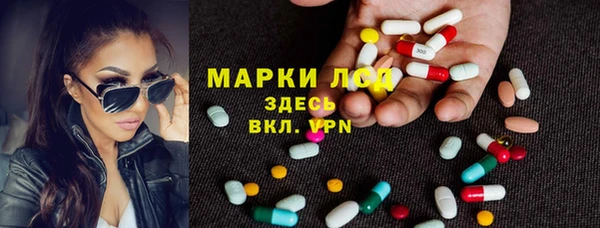 a pvp Новозыбков