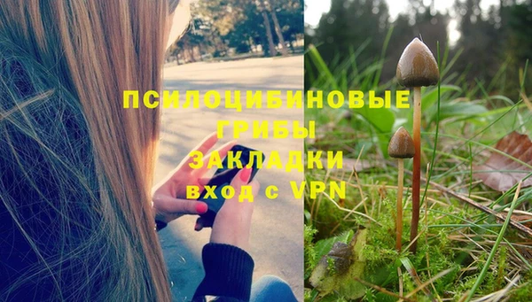 круглые Абаза